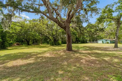 9950 Hilltop Drive New Port Richey FL 34654