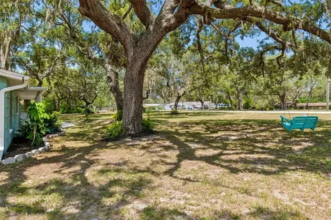 9950 Hilltop Drive New Port Richey FL 34654
