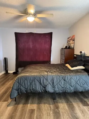 804 Washington Palm Loop Davenport FL 33897