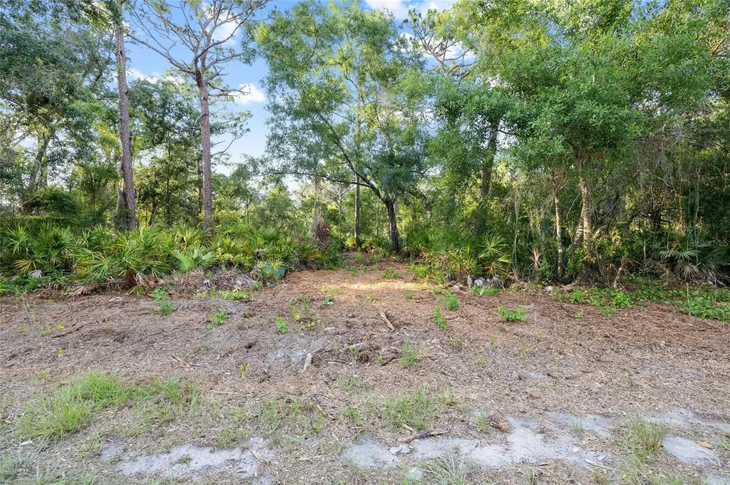Lake Le Clare Road Lutz FL 33558