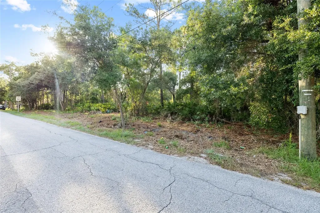 Lake Le Clare Road Lutz FL 33558