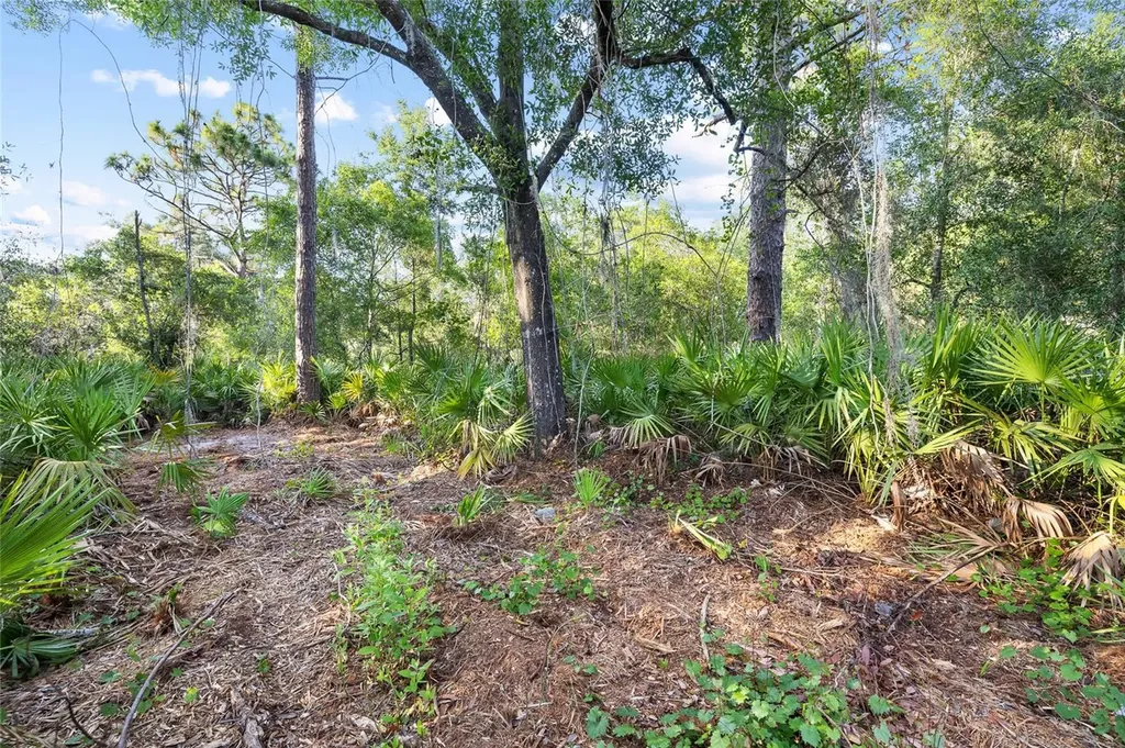 Lake Le Clare Road Lutz FL 33558