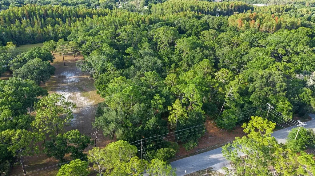 Lake Le Clare Road Lutz FL 33558
