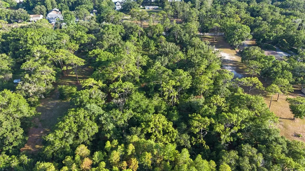 Lake Le Clare Road Lutz FL 33558