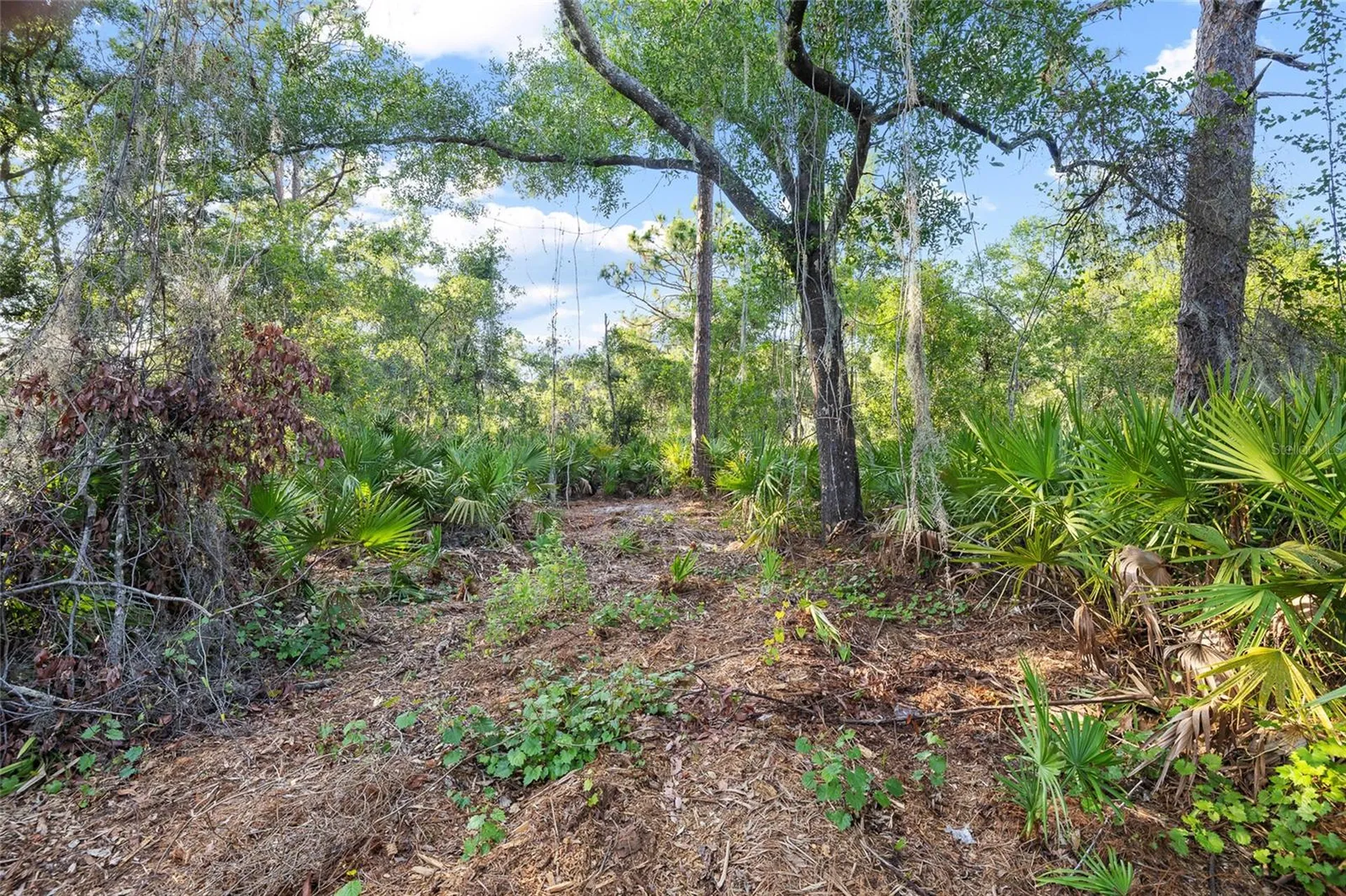 Lake Le Clare Road Lutz FL 33558