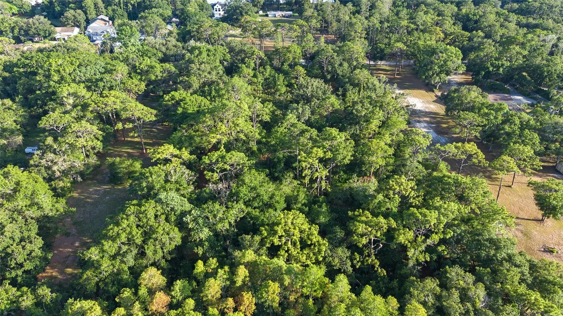 Lake Le Clare Road Lutz FL 33558
