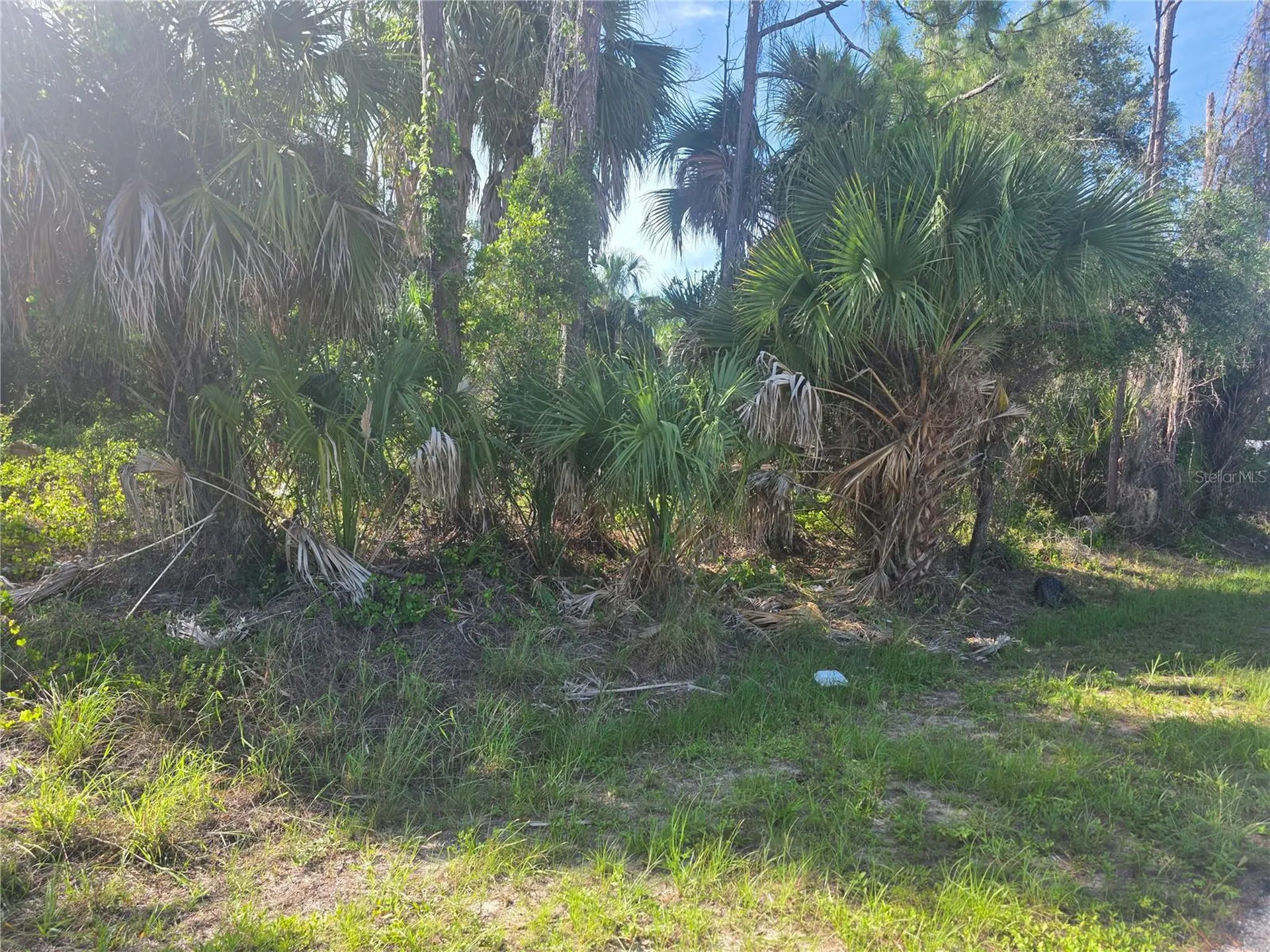 Prime Terrace North Port FL 34286