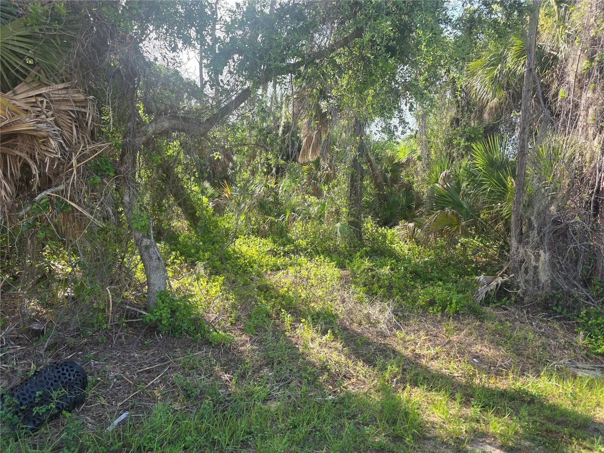 Prime Terrace North Port FL 34286