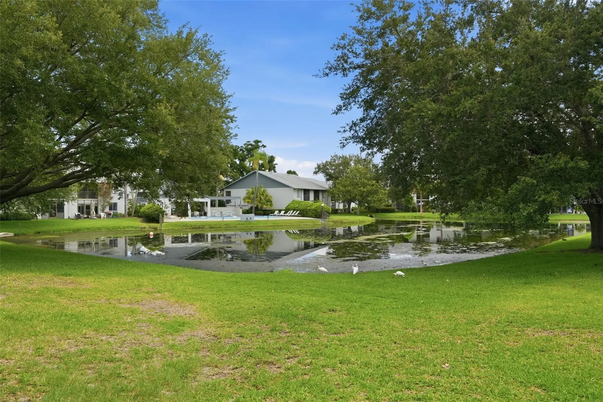 11201 122nd Avenue Largo FL 33778