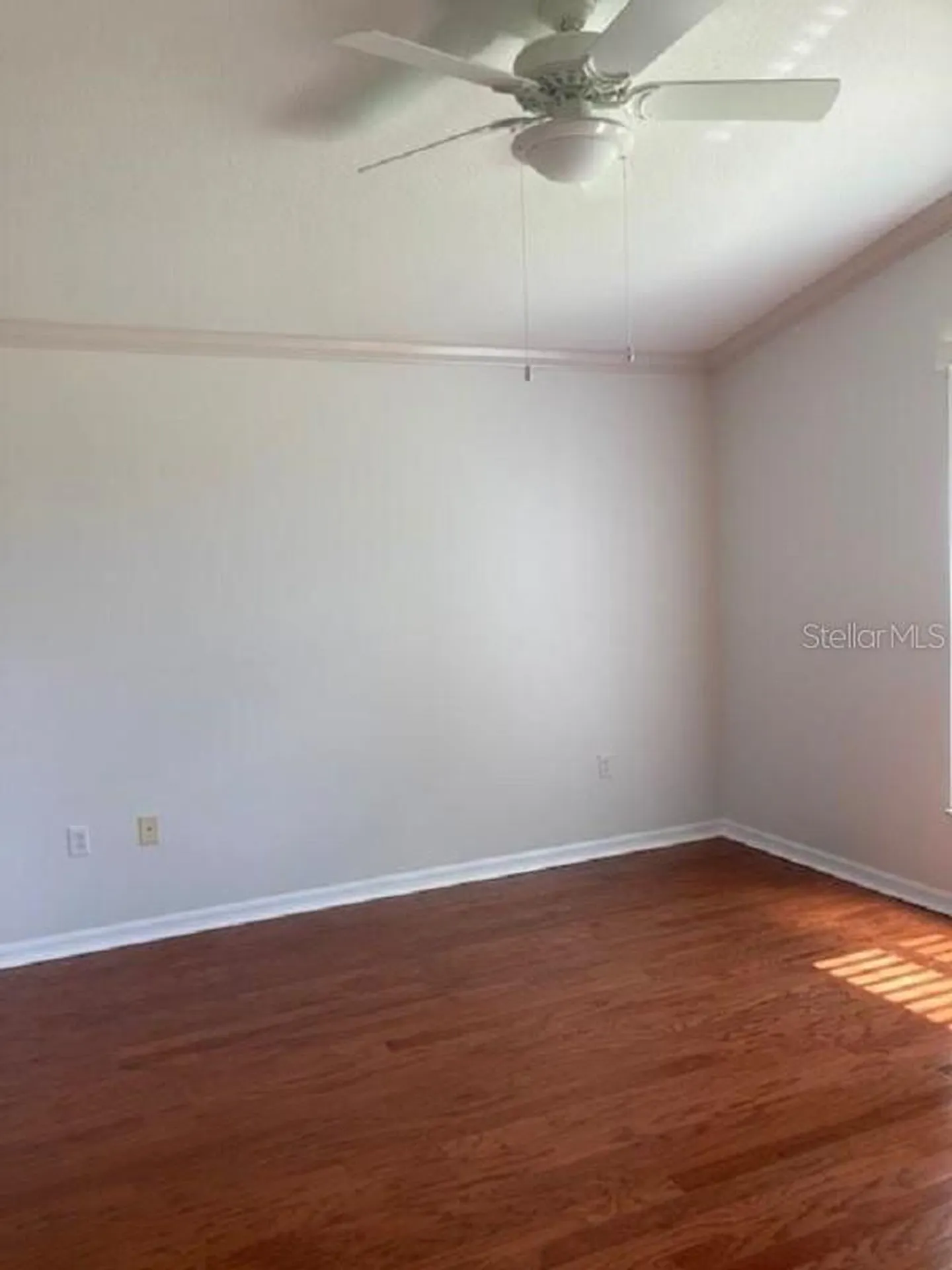 10007 Brookdale Drive New Port Richey FL 34655
