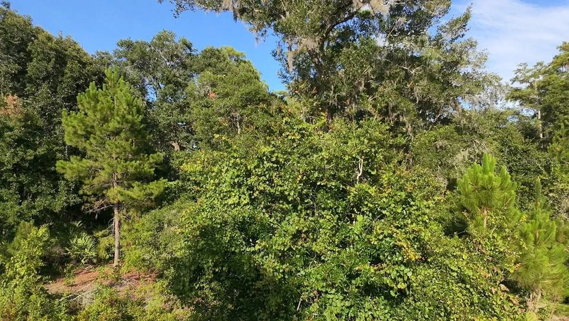 2057 8th Avenue Deland FL 32724