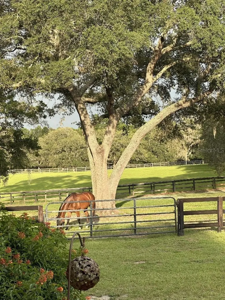 19950 SW 5th Place Dunnellon FL 34431