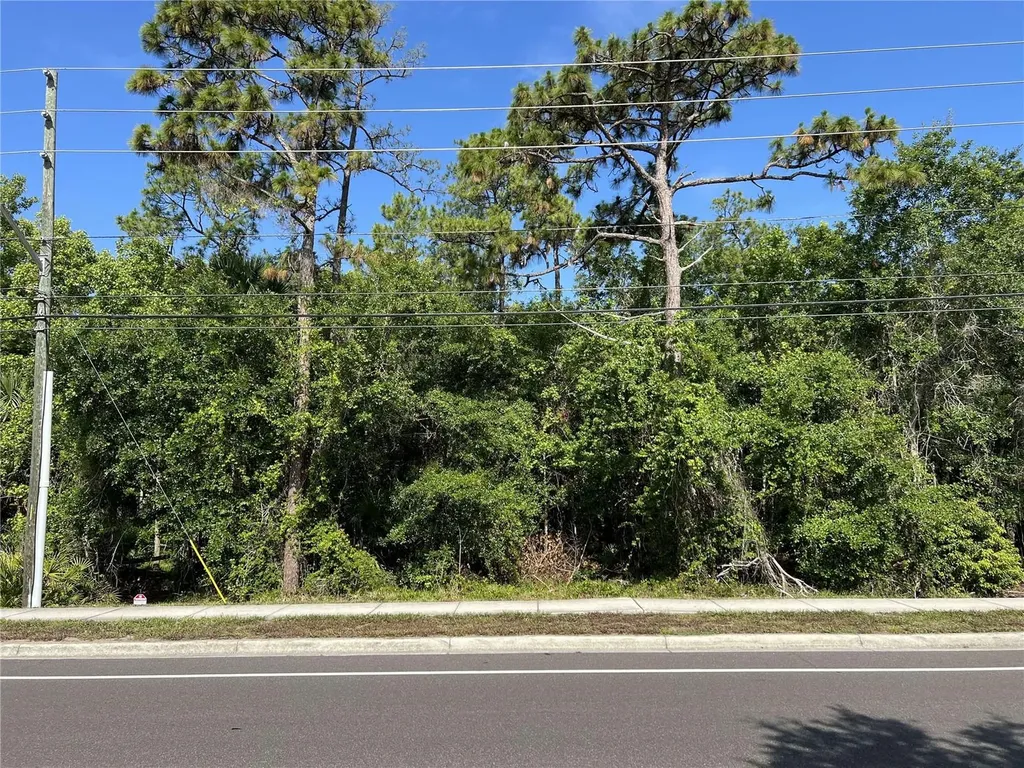 2322-2328 Rouse Road Orlando FL 32817