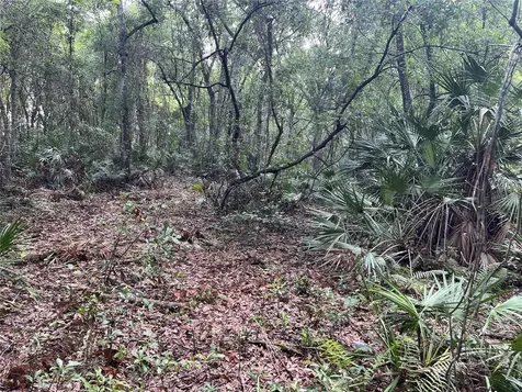 2322-2328 Rouse Road Orlando FL 32817