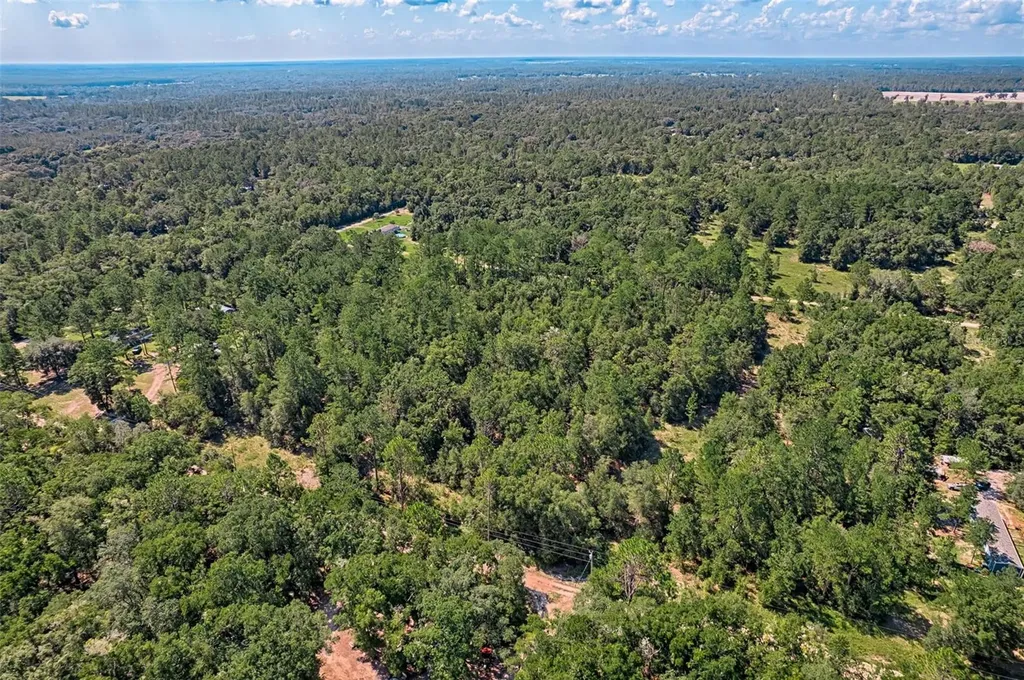 000 NE 83rd Lane Bronson FL 32621