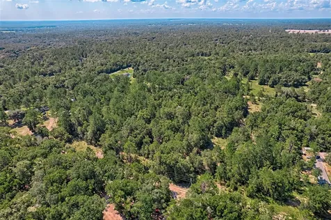 000 NE 83rd Lane Bronson FL 32621