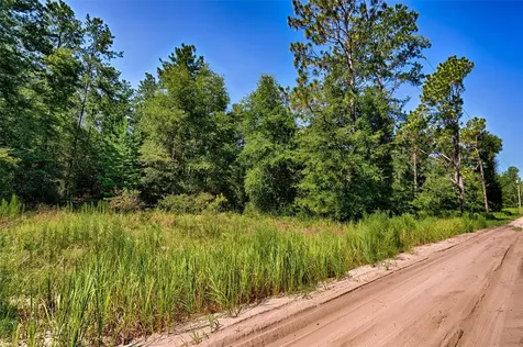 000 NE 83rd Lane Bronson FL 32621