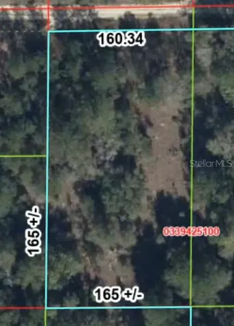 000 NE 83rd Lane Bronson FL 32621