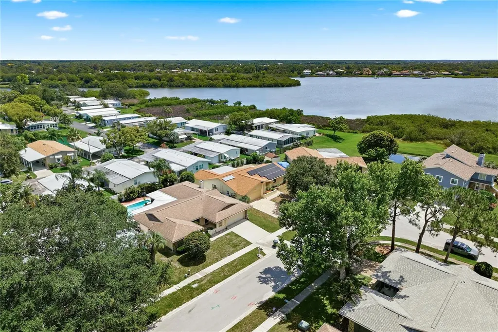254 Timberview Drive Safety Harbor FL 34695