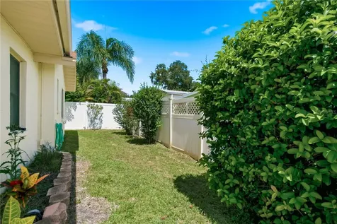 254 Timberview Drive Safety Harbor FL 34695