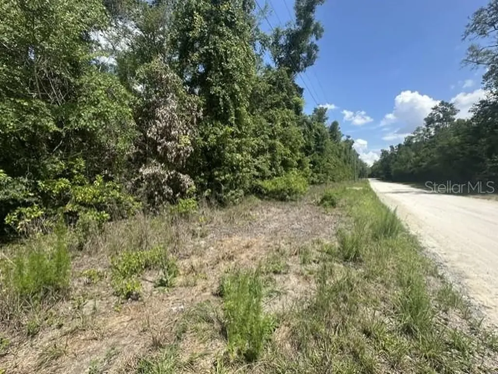 284TH Street Branford FL 32008