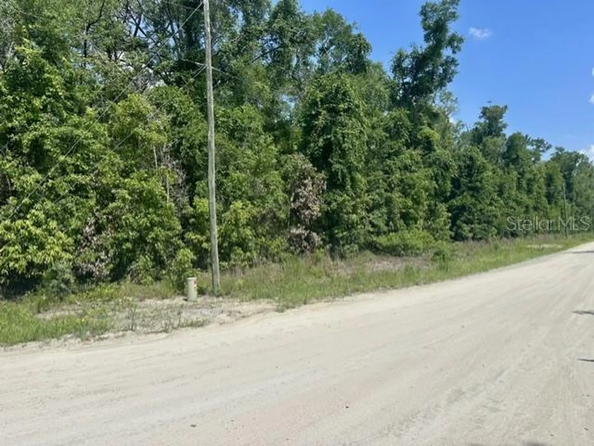 284TH Street Branford FL 32008