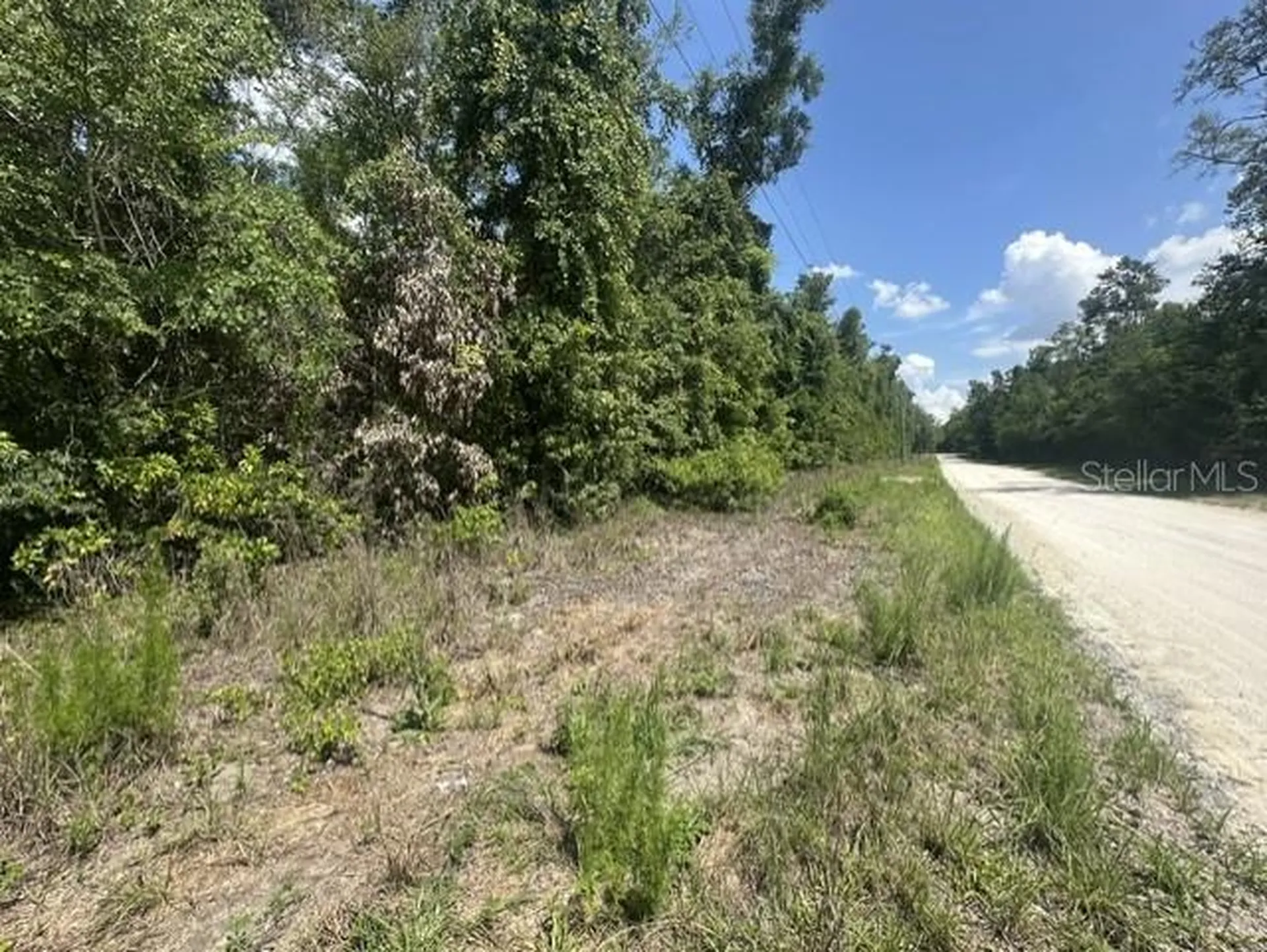 284TH Street Branford FL 32008