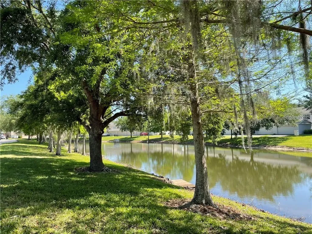 12355 Langstaff Drive Windermere FL 34786