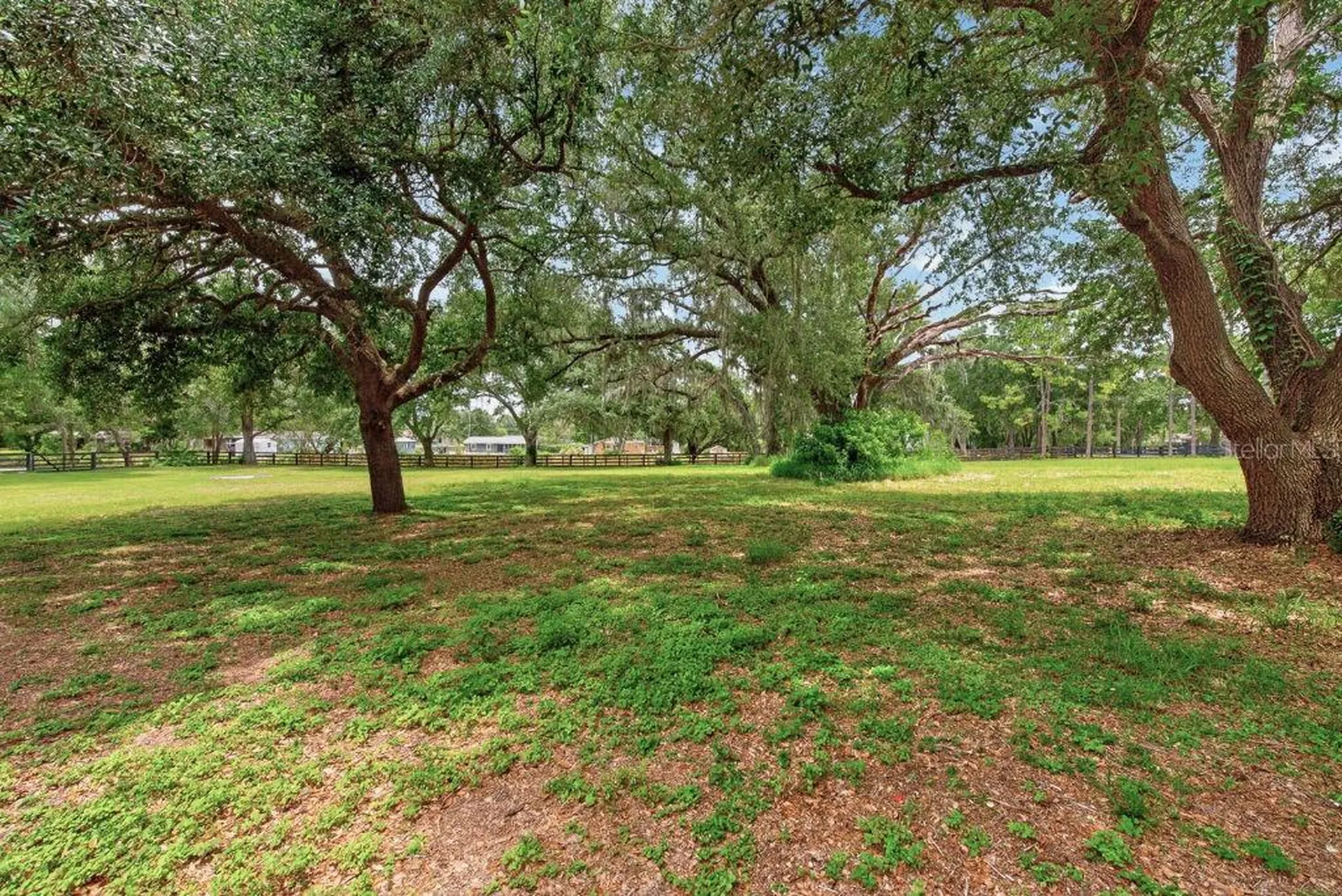 18410 30th Street Lutz FL 33559