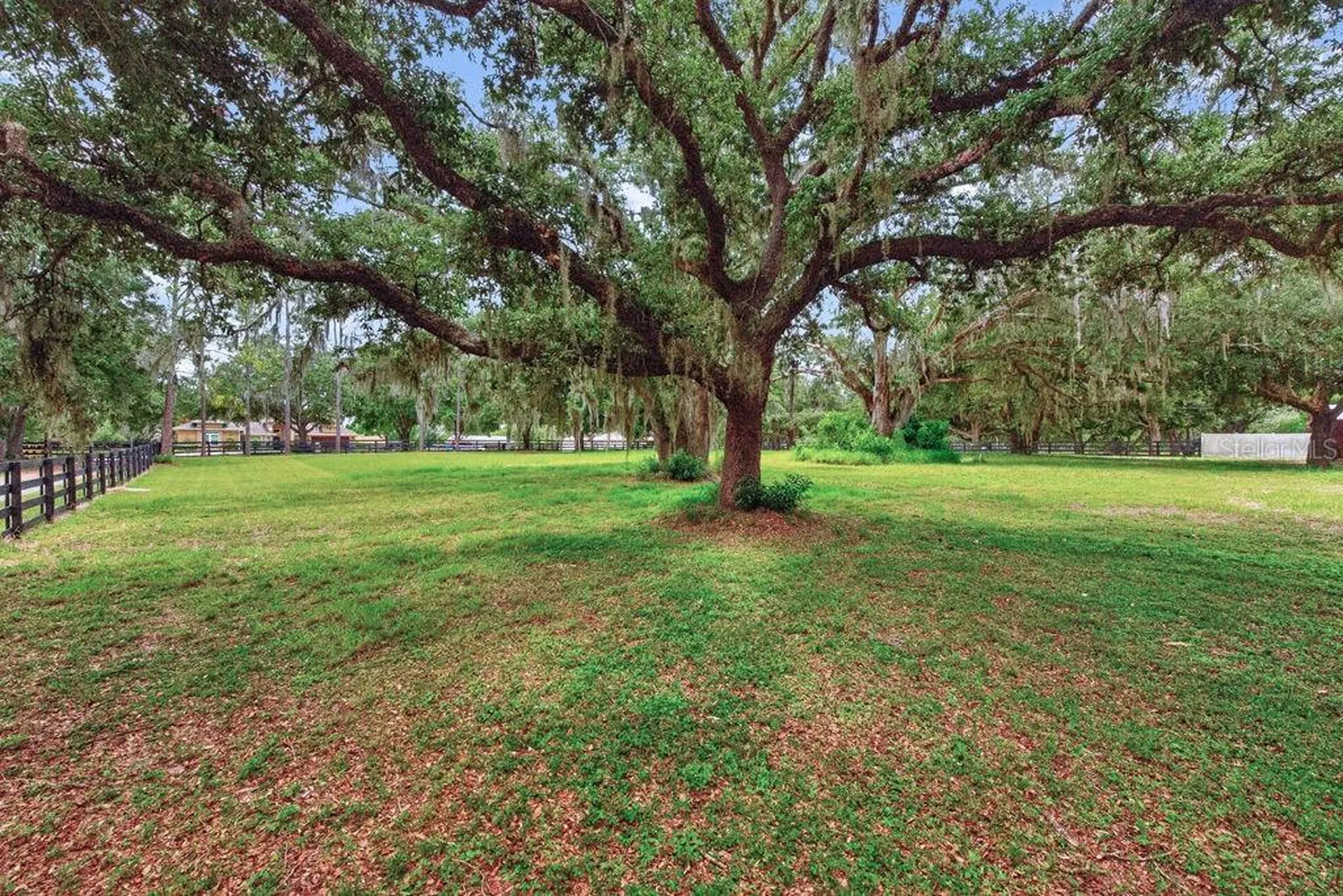18410 30th Street Lutz FL 33559