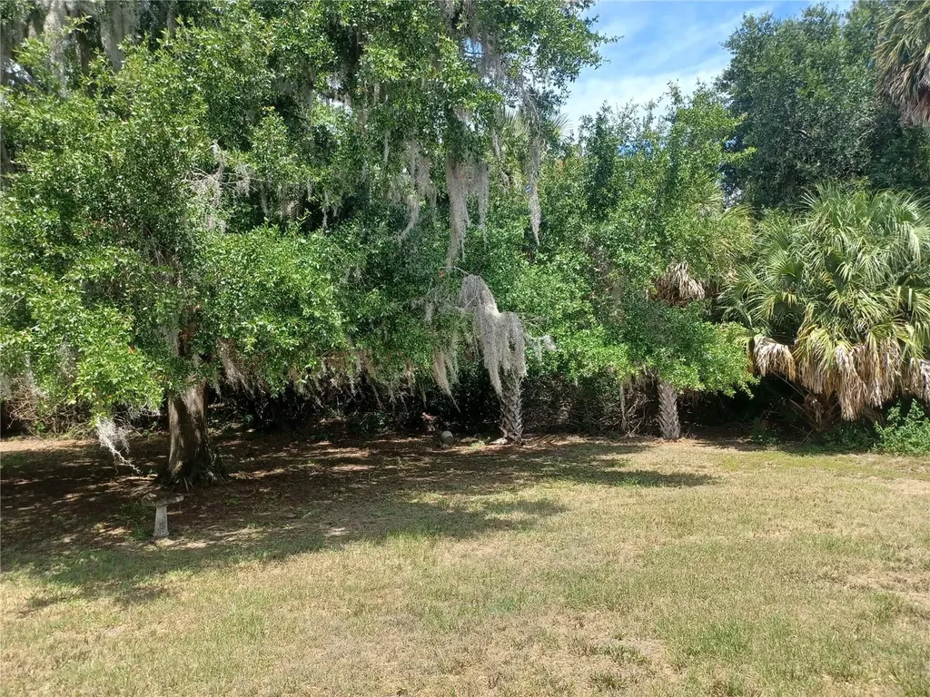 805 Velma Court Tavares FL 32778