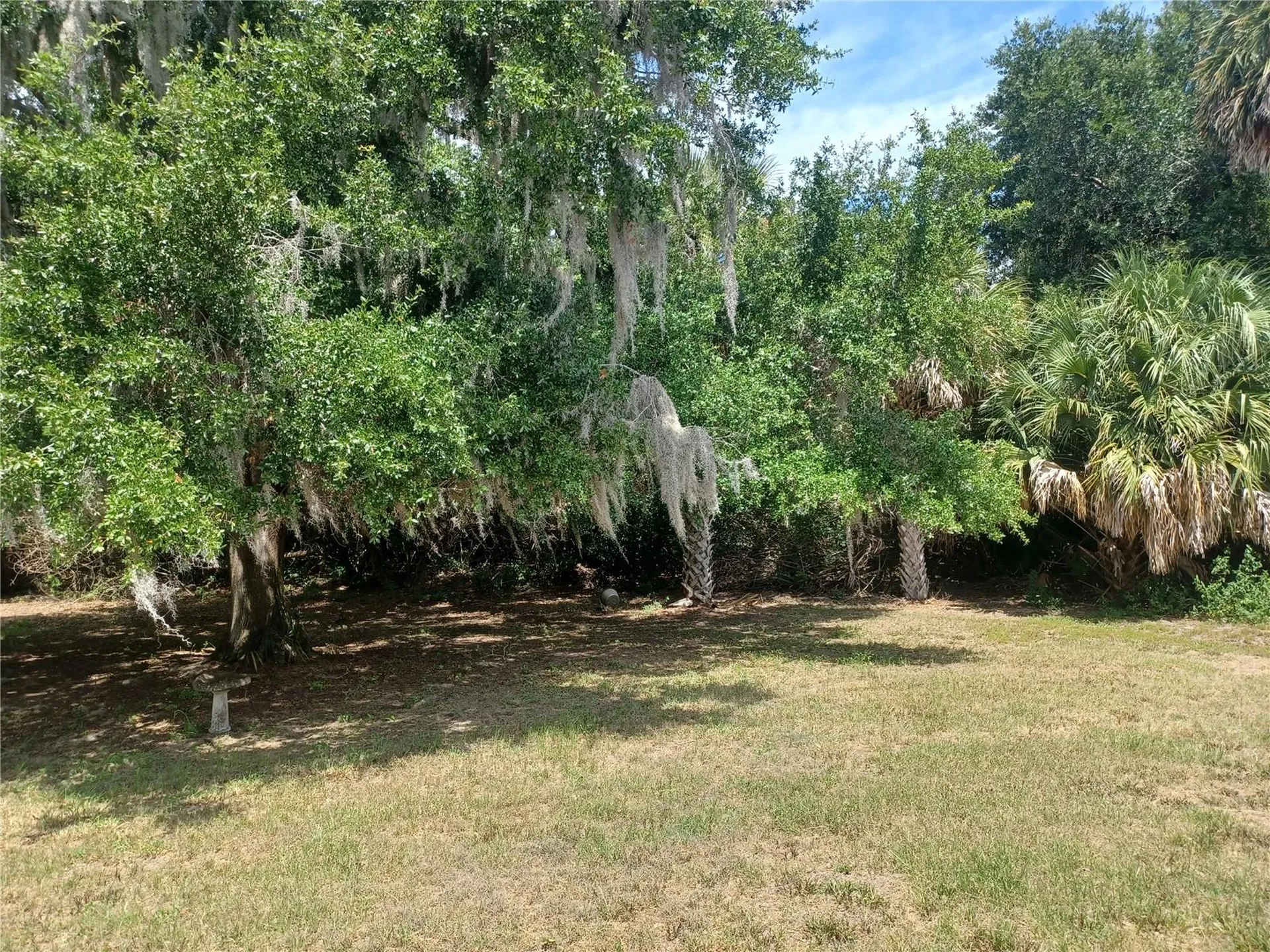 805 Velma Court Tavares FL 32778