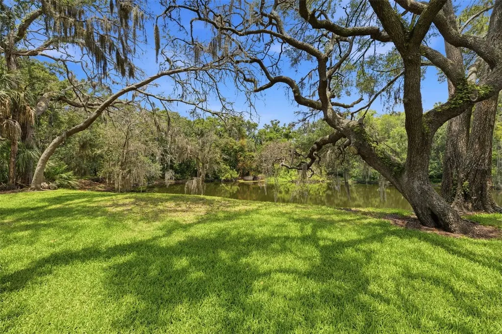11844 Skylake Place Tampa FL 33617