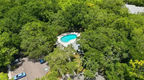 11844 Skylake Place Tampa FL 33617