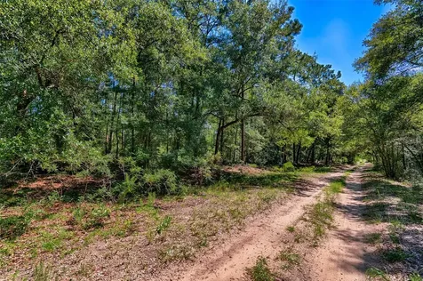 Tbd NE 83rd Lane Bronson FL 32621