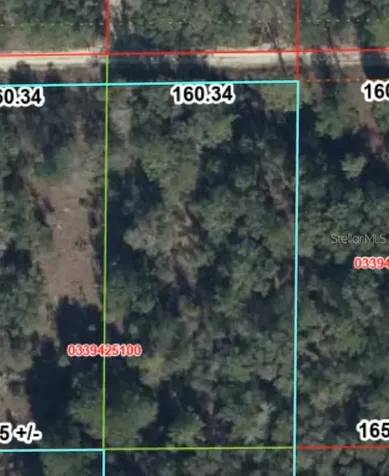 Tbd NE 83rd Lane Bronson FL 32621