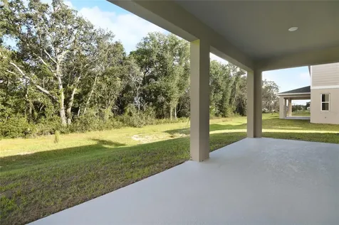 1042 Cloud Ridge Court Mount Dora FL 32757
