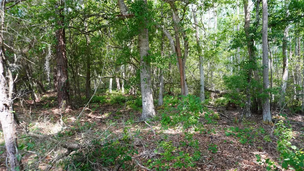 Polk City FL 33868