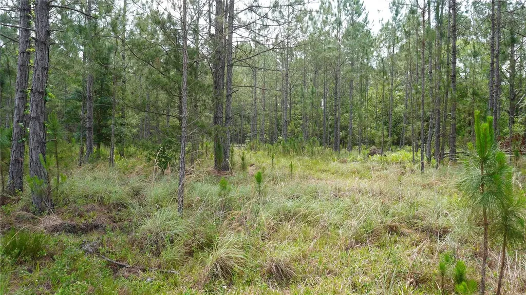 Polk City FL 33868
