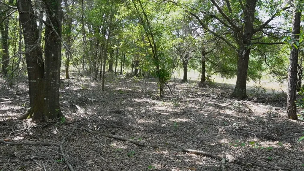 Polk City FL 33868