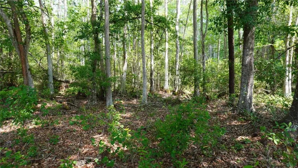 Polk City FL 33868