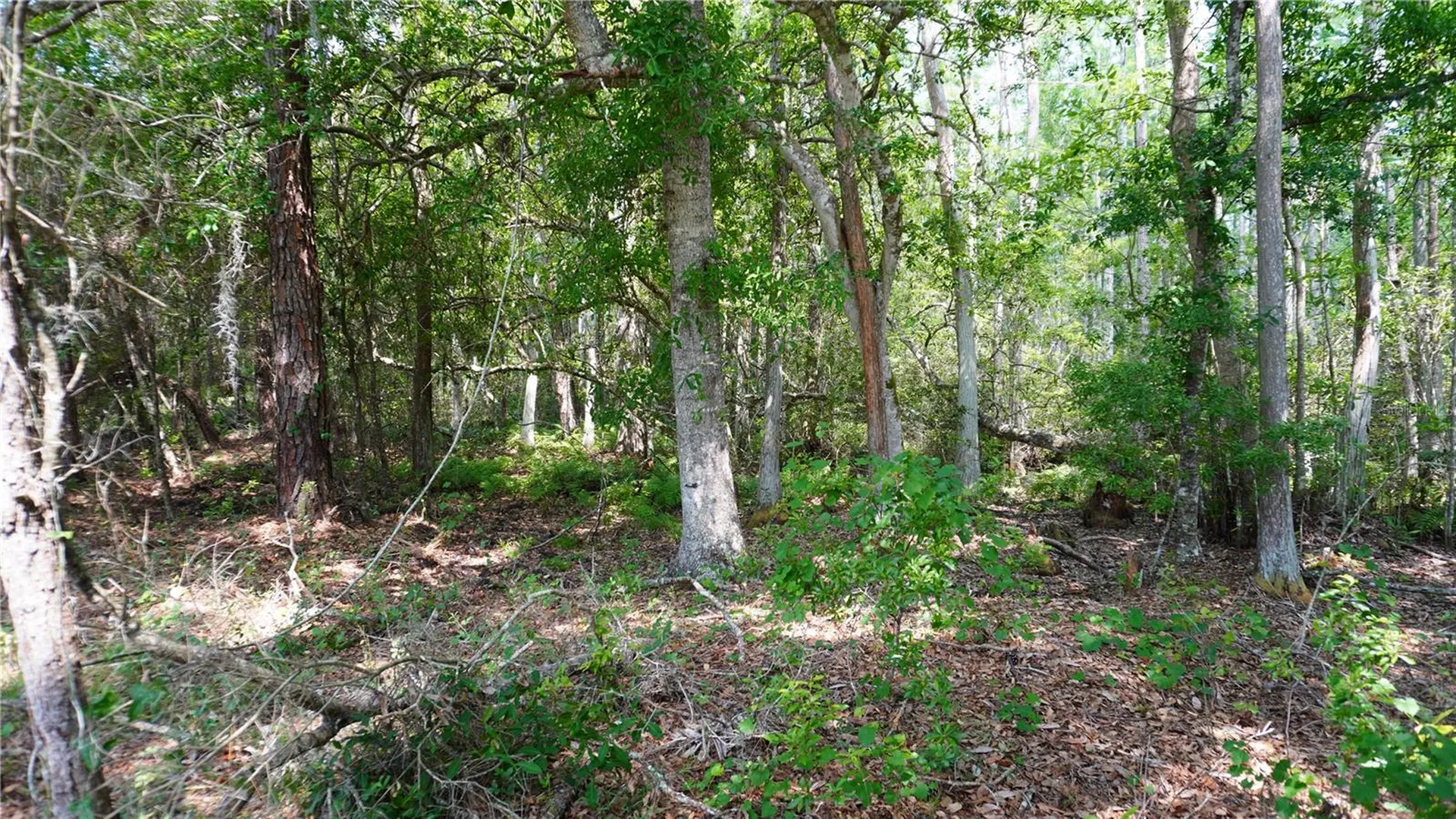 Polk City FL 33868