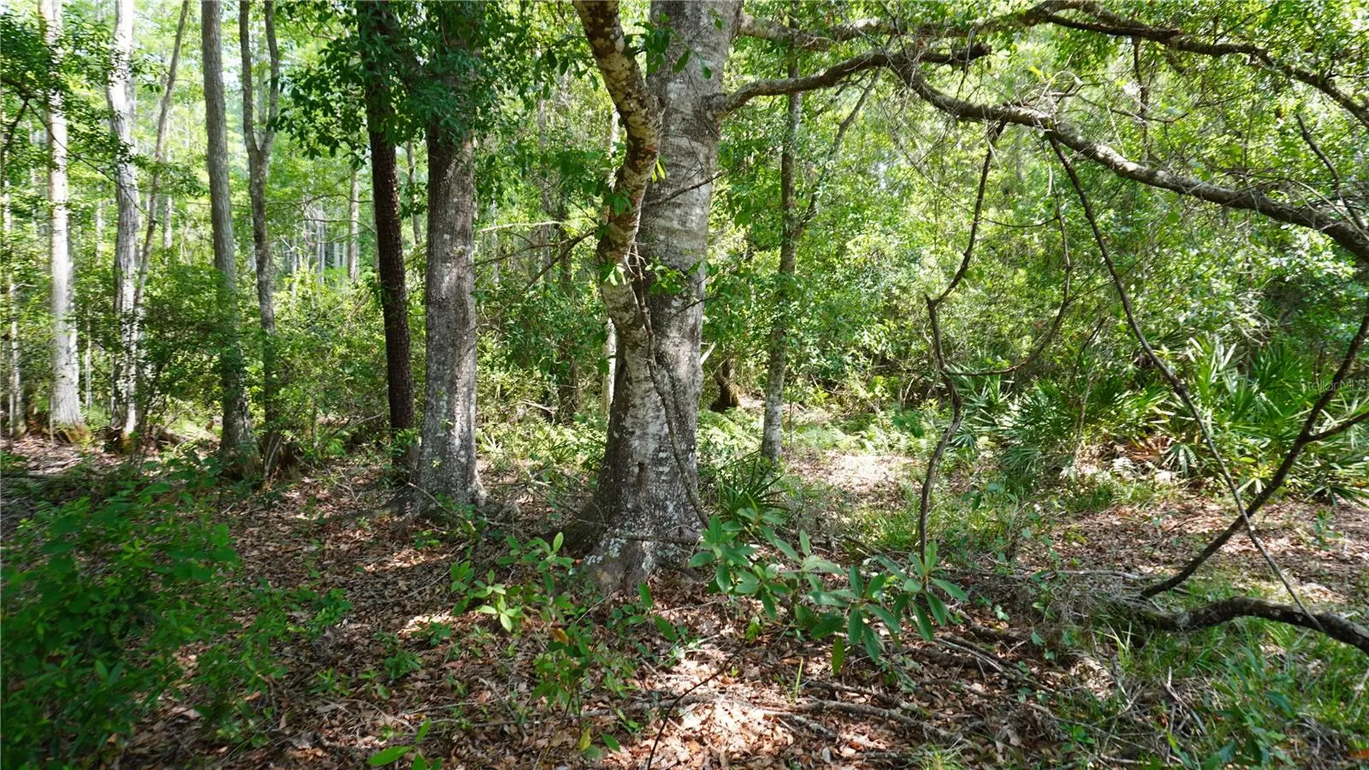 Polk City FL 33868