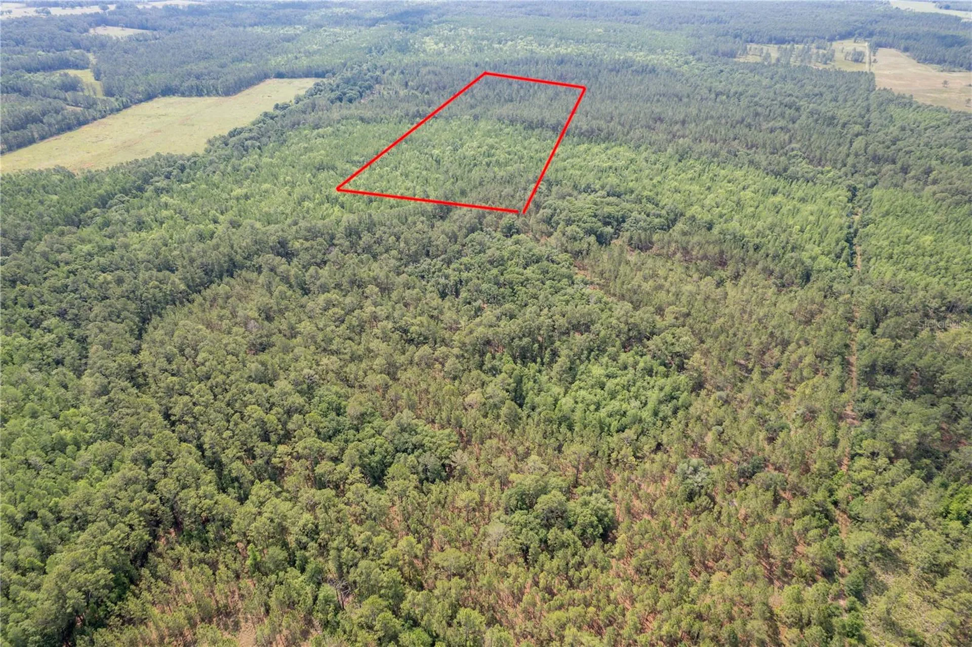 Polk City FL 33868