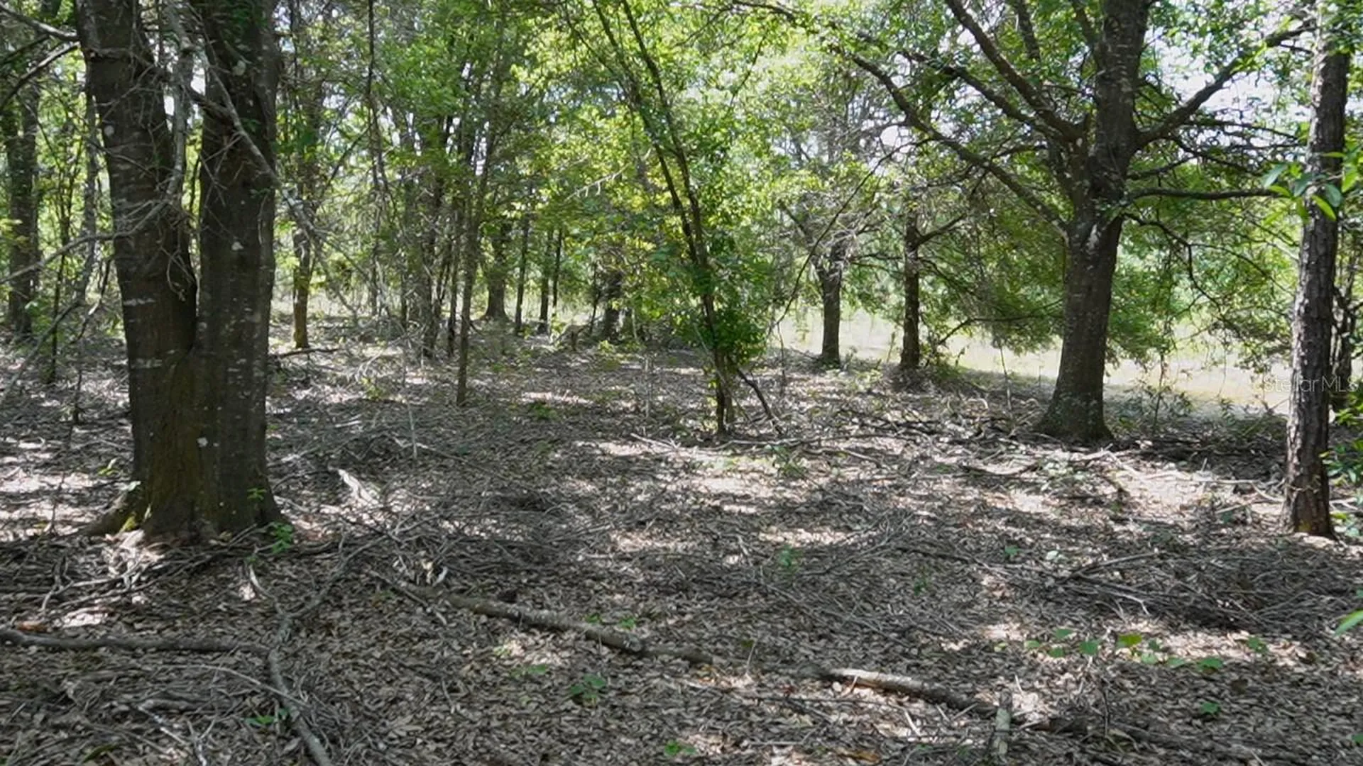 Polk City FL 33868