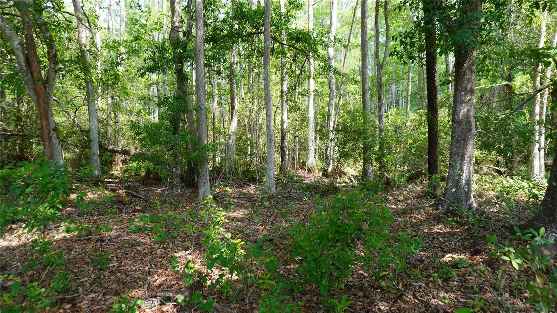 Polk City FL 33868
