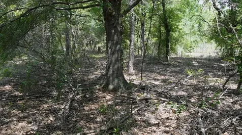 Polk City FL 33868