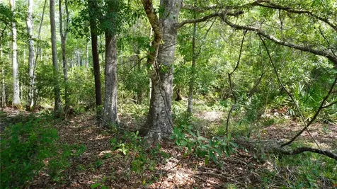 Polk City FL 33868