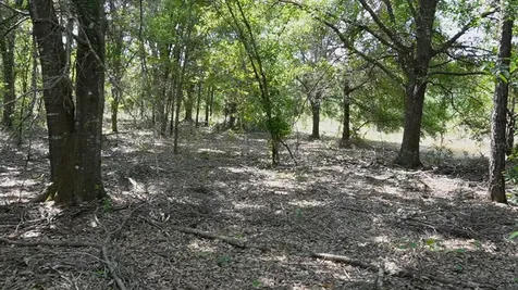Polk City FL 33868