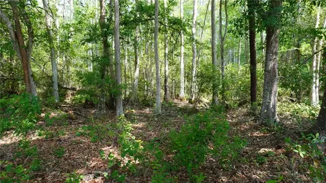 Polk City FL 33868